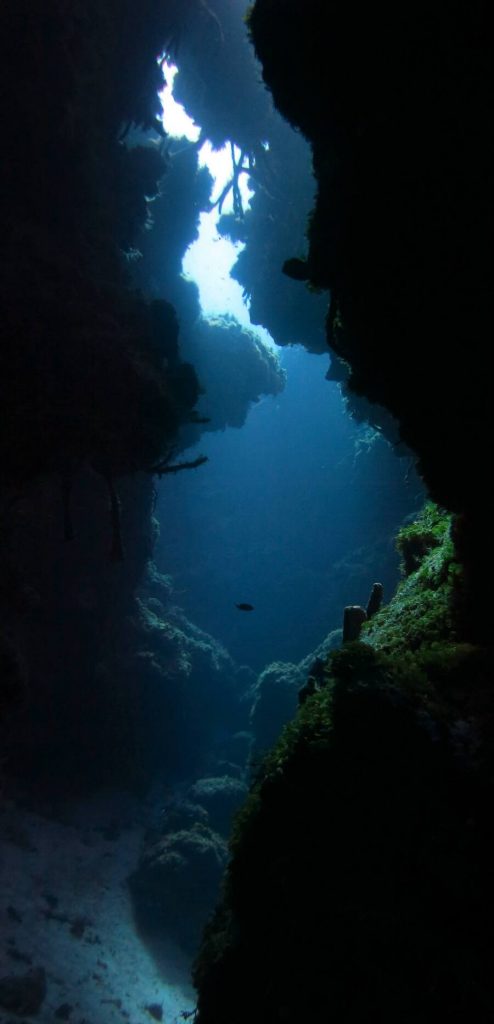 Diving at Palancar Caves Cozumel