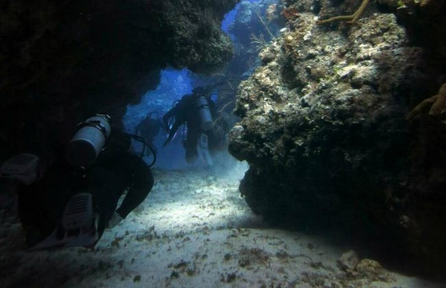 The best dive sites in Cozumel The best dive sites in Cozumel