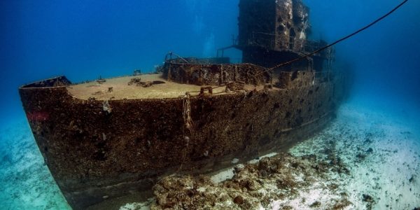 Cozumel Diving Guide Island Life Mexico (2)