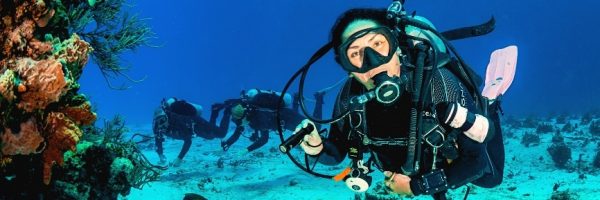 Cozumel Diving Guide Island Life Mexico (7)