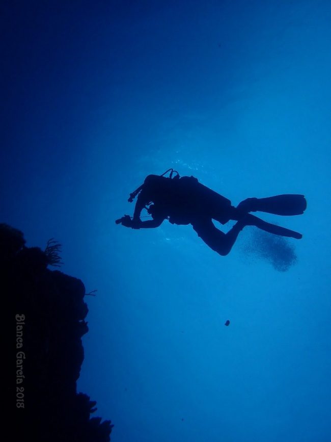 WhatsApp Image 2022-02-07 at 13.12.55 (2)