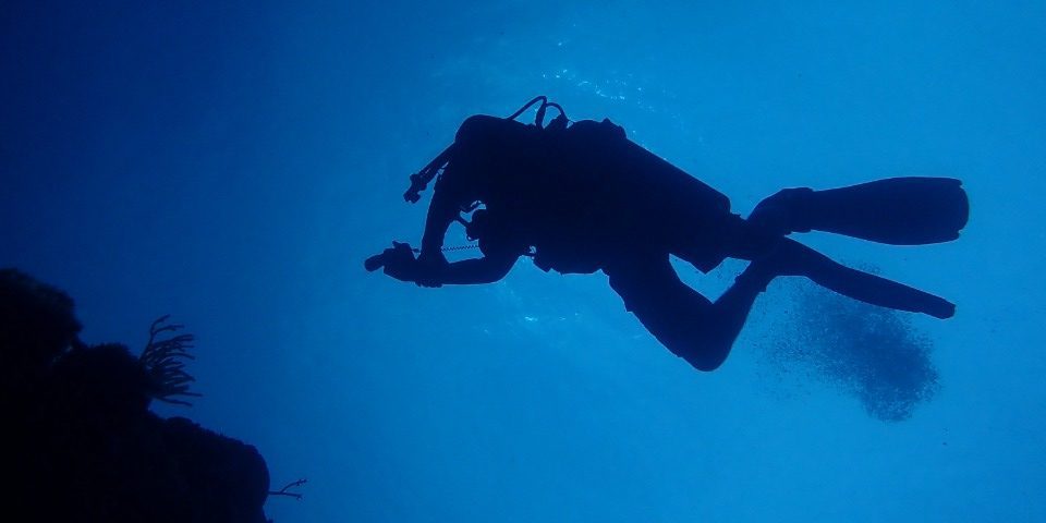 WhatsApp Image 2022-02-07 at 13.12.55 (2)