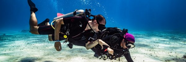 2f551b53-7030-42d1-809c-e30e7e5290a2